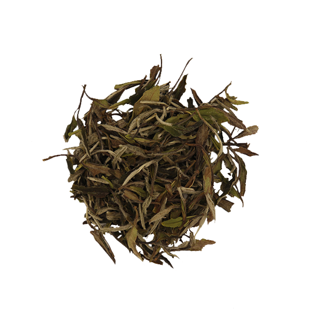 White Peony White Tea