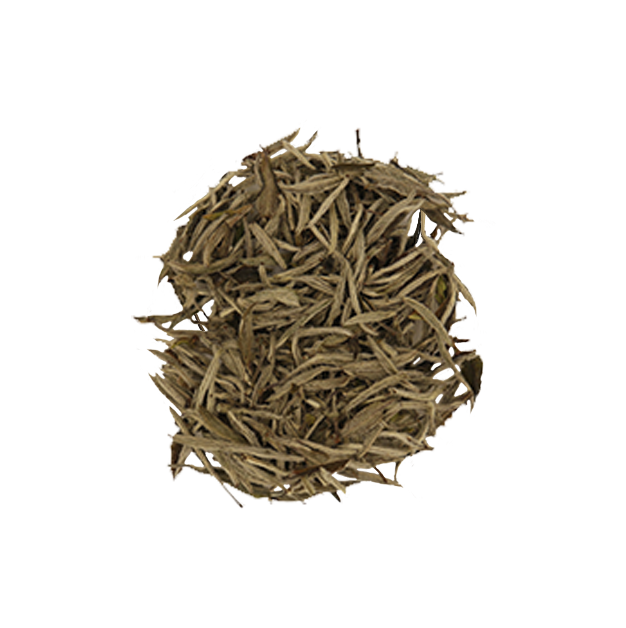 Silver Needles White Tea